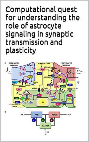 Download Computational quest for understanding the role of astrocyte signaling in synaptic transmission and plasticity - Various | ePub