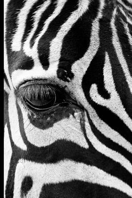 Read Wild Zebra Graph Paper Notebook 200 Pages 8 1/2 X 11 Inches - NOT A BOOK | PDF