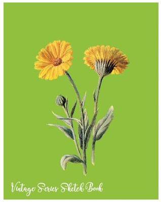 Read online Vintage Series Sketch Book: Vintage Series Sketch Book: Large 8 X 10 Blank, Unlined, Freely to Write on for Everyone ( Men, Women, Girls, Boys, Adult, Children. Enjoy Yourself by Writing with 60 Pages ( Splendid Blank Journals) - NOT A BOOK file in PDF