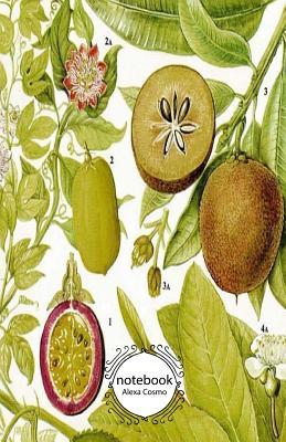 Read online Notebook: Journal Dot-Grid, Graph, Lined, Blank No Lined: Notebook P21 Pocket Notebook Journal Diary, 120 Pages, 5.5 X 8.5 (Blank Notebook Journal) - Alexa Cosmo file in PDF