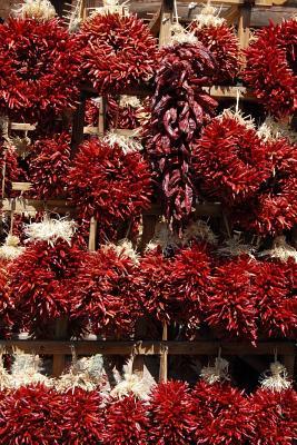 Read Cool Dried Red Chili Pepper Wreaths and Ristras Journal: 150 Page Lined Notebook/Diary - NOT A BOOK | ePub