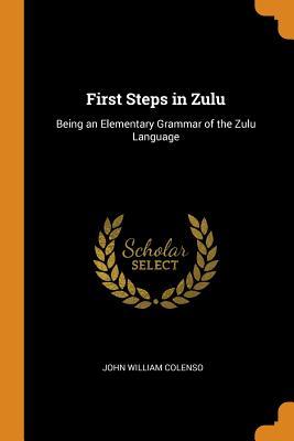Read First Steps in Zulu: Being an Elementary Grammar of the Zulu Language - John William Colenso file in ePub